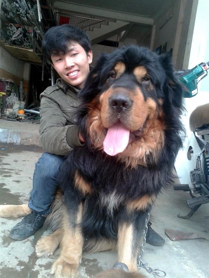 21-28-24_cho-ngo