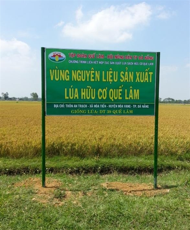 16-12-33_que-lm-3