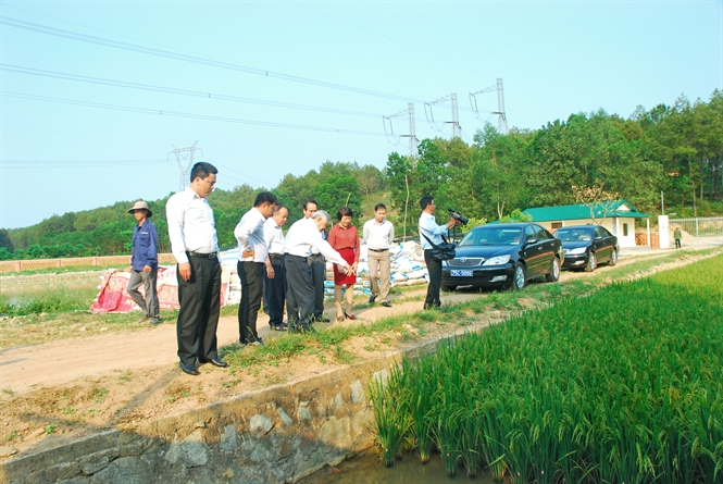 10-45-04_chu-tich-hdqt-nguyen-hong-lm-gioi-thieu-vung-trong-nguyen-lieu-lu-huu-co-que-lm-cho-bc-phieu