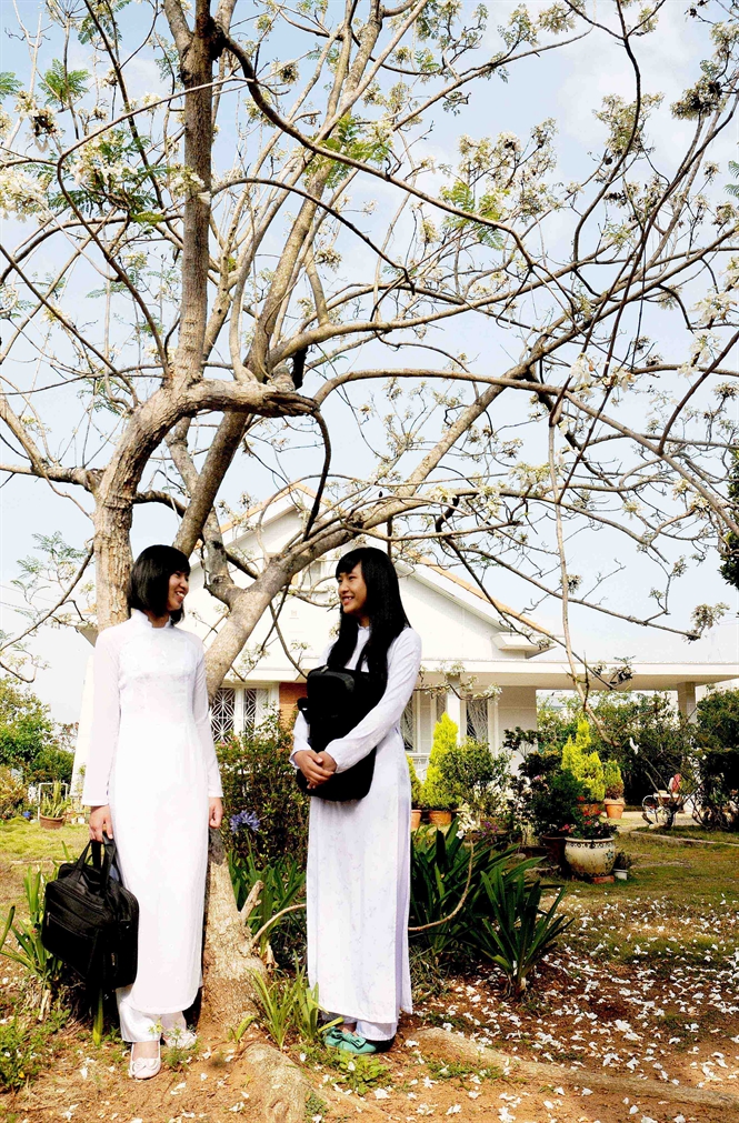 16-01-05_phuong-trng-h-huu-net-1