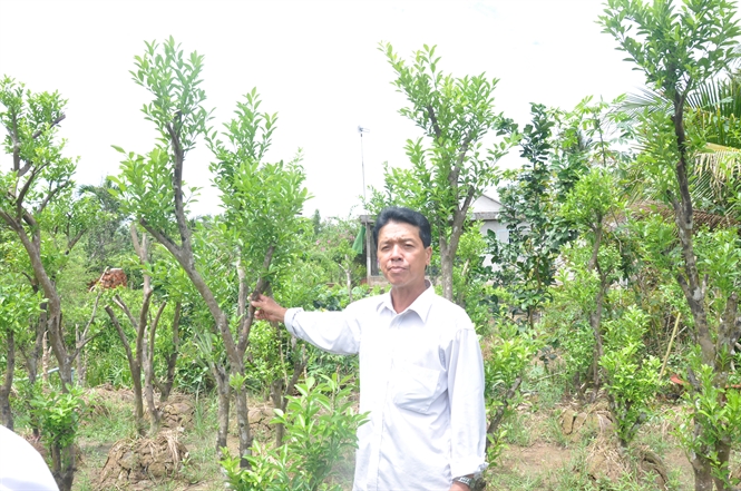 13-49-29_nong-dn-tim-mu-cy-giong-khoi-phuc-vuon-cy-bi-xm-nhp-mn-nh-hp