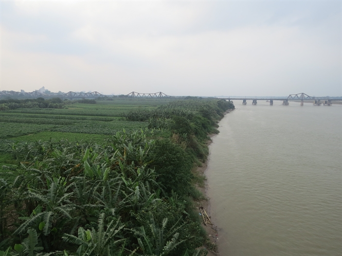 18-54-08_song-hong-don-qu-cu-chuong-duong-v-long-bien-hi-ben-doc-bo-song-phu-s-boi-dp-ngut-ngn-mu-xnh-ho-mu-cu-cu-dn-hn