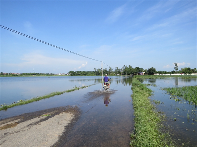 18-52-46_ruong-lu-duong-di-v-nh-o-deu-bi-ngp-ung-o-vinh-tuong-vinh-phuc