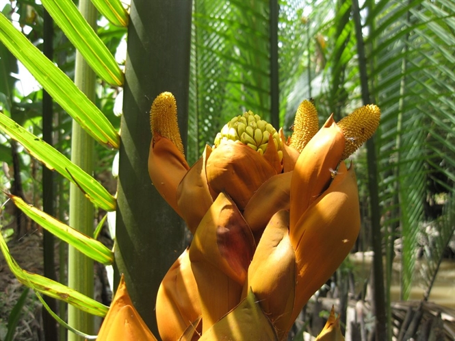 08-35-41_nh-2-ho-du-nuoc