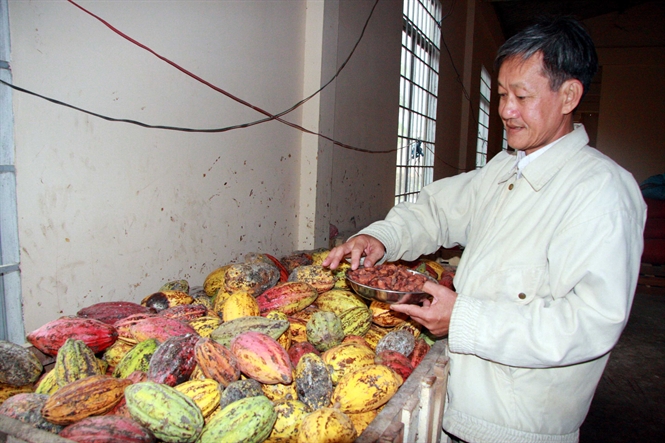14-20-38_nh-c-co-huong-vi-tot