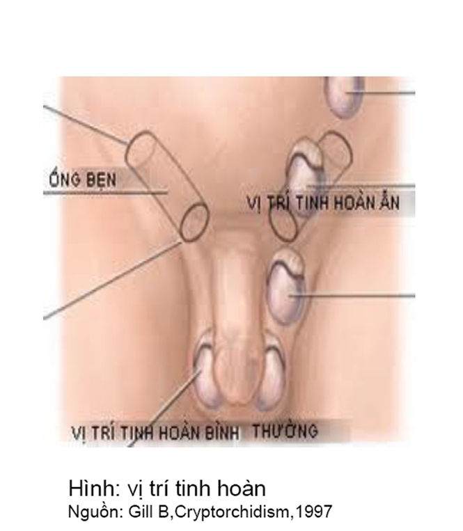 16-51-27_tinh-hon-n-1
