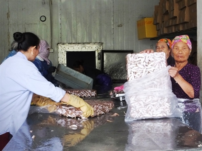 10-35-55_den_ny_kho_dong_lnh_ton_tu_hotdong_tro_li_binh_thuong