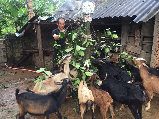 12-44-57_chn_nuoi_de_l_cong_viec_chinh_cu_nh_hieu_moi_ngy