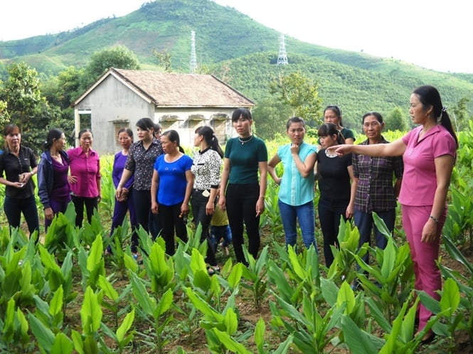 11-21-04_trong_nghe_moi_h_cho_thu_nhp_300_den_400_trieu_dong