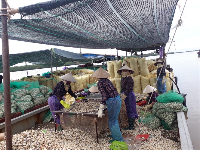 08-13-58_nh_3_-_hng_ngy_co_hng_trm_tn_ngo_o_x_di_hop_duoc_xut_di_trung_quoc_nhung_ngn_sch_khong_thu_duoc_dong_no