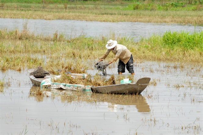 13-06-14_nh_1_-_nong_dn_ve_sinh_dong_ruong