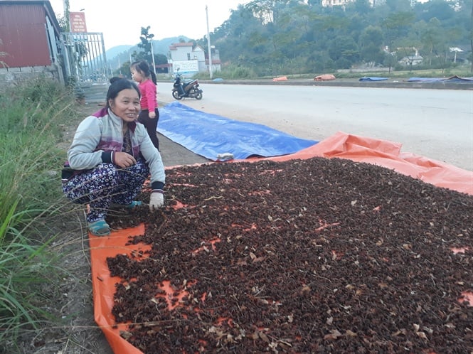 14-20-57_nh_3_-_nguoi_dn_huyen_binh_gi_phn_khoi_vi_vu_hoi_nm_ny_duoc_mu