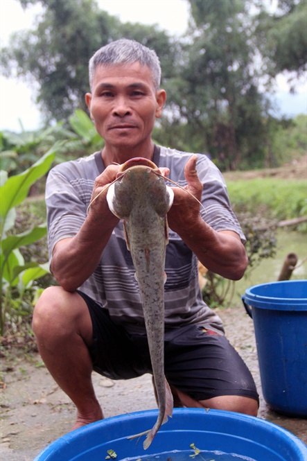 21-42-17_su_5_thng_nuoi_c_leo_dt_trong_luong_trung_binh_15_kgcon