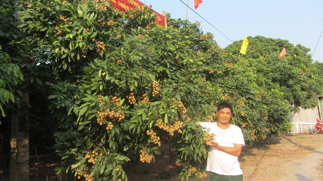 21-42-15_nhn_chin_giu_mu_dong