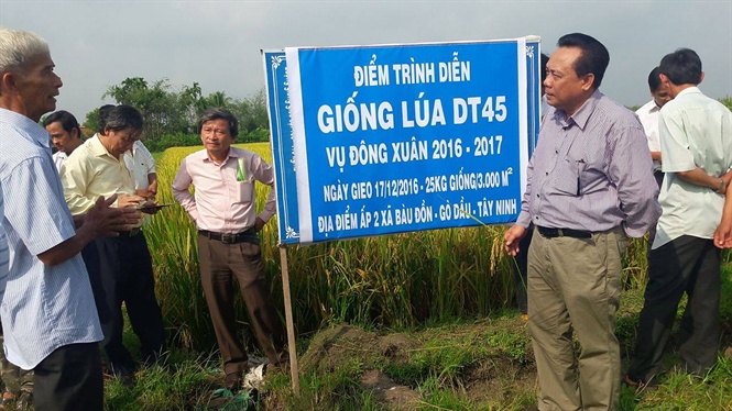 16-39-49_nh-tin-thu-nghiem-giong-lu-thun-2