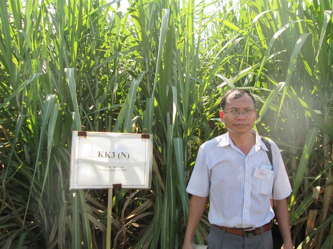 08-58-34_giong-mi-kk3-ti-nghe-n-1
