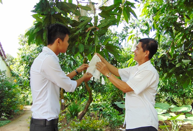 09-44-50_nh-1-sn-xut-xoi-theo-vietgp