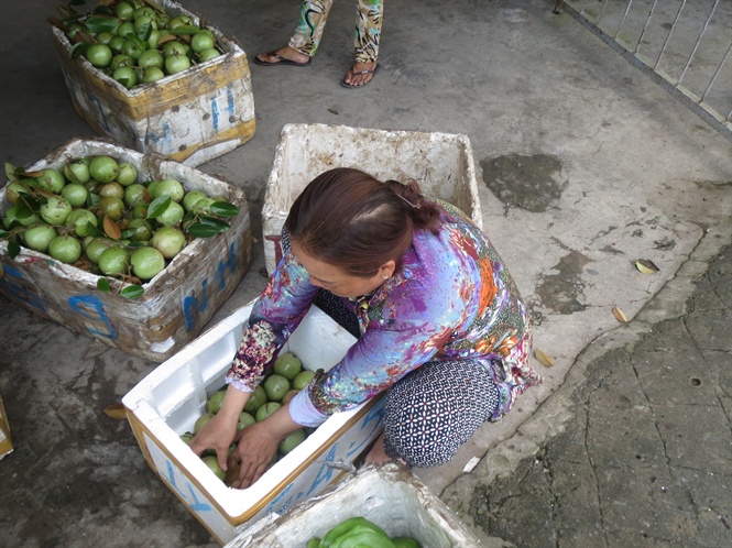 09-35-13_4-b-con-cht-vu-su-vo-thung-truoc-khi-vn-chuyen-di-x