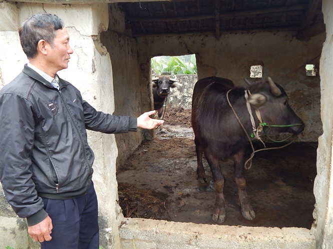 15-32-20_con-tru-duoc-ong-thu-tinh-thnh-cong-tu-nm-ngoi