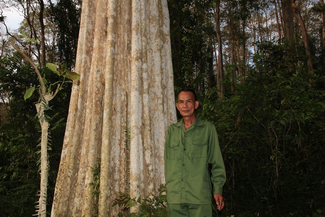 08-16-35_ong-vi-truong-vinh-khong-i-biet-rung-sng-le-co-tu-bo-gio