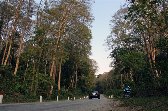 08-16-35_rung-sng-le-tro-thnh-mot-thien-duong-noi-cho-lu-dong-duong