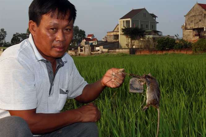 09-26-18_khc-tinh-cu-lu-chuot