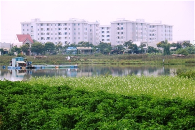 05-38-13_ru_l_huong_2