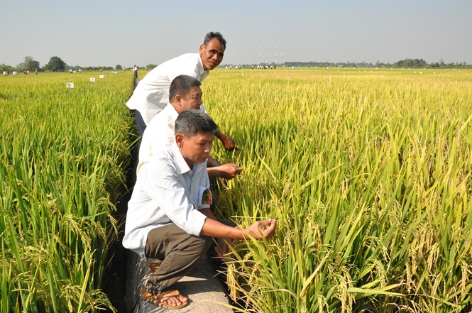 18-20-05_nd_thm_gi_binh_chon_giong_lu_o_vien_lu_dbscl_-_nh_hd
