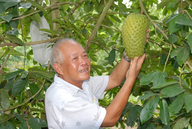 09-16-10_nh_2-_trong_mng_cu_dng_co_du_r_on_dinh