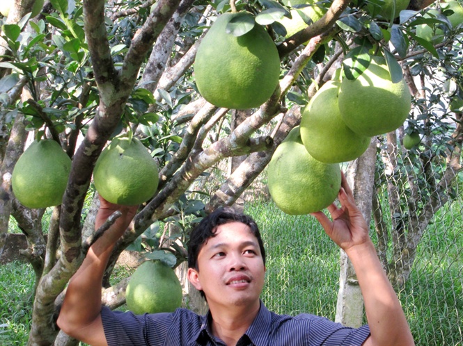07-58-22_nh_-_buoi_tng_gi_nong_dn_phn_khoi