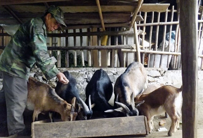 10-41-34_de_l_vt_nuoi_thot_ngheo_v_lm_giu_o_nghe_n