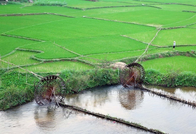09-08-20_lu-nghe-n