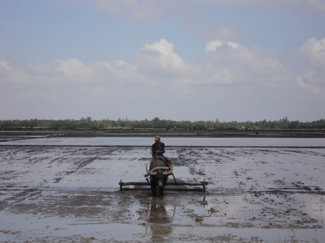 10-24-35_ngnh_khuyen_co_nong_dn_ket_thuc_lich_thoi_vu_xuong_giong_lu_thu_dong_truoc_ngy_257_de_trnh_nguy_co_lu_lon