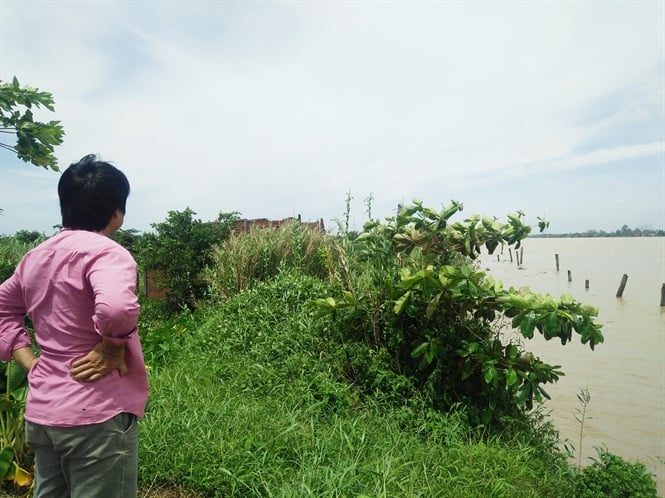 20-08-19_nguoi_dn_dng_lo_lng_truoc_nguy_co_st_lo_trong_mu_lu_ny