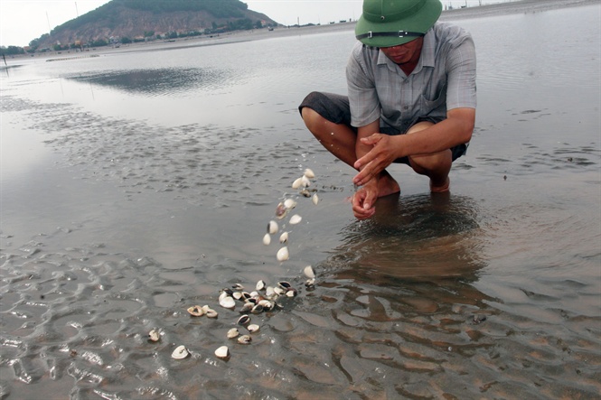 09-58-50_nuoi_ngo_l_nghe_n_song_nm_gio_4