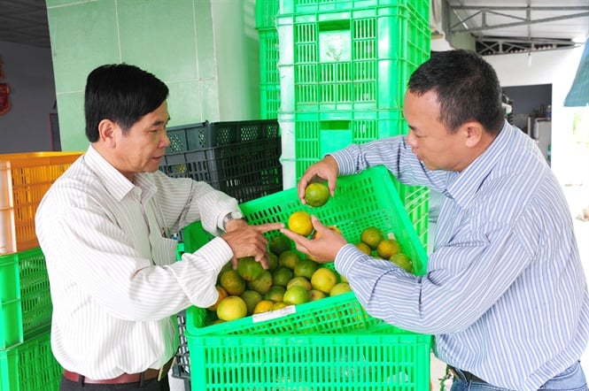 16-20-19_nh_2_-_chon_quyt_duong_de_cung_cp_cho_sieu_thi
