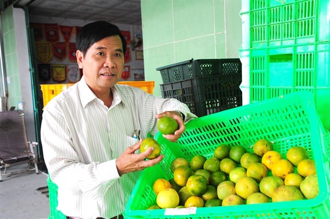 16-20-19_nh_3_-_tht_quyt_duong_cu_nh_phong_cung_cp_80-100_tn_cho_cty_vineco