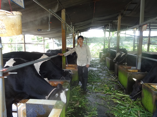 16-56-29_tp_hcm_thnh_trung_tm_giong_-_nh_1