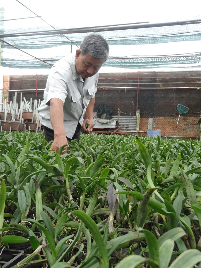 16-56-29_tp_hcm_thnh_trung_tm_giong_-_nh_2