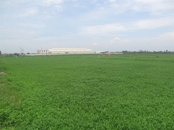 16-52-59_khu_ru_muong_n_ton_cu_cong_ty_hung_viet