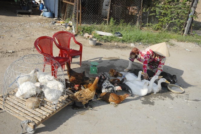 08-48-32_nh_2_-_mot_so_ho_bn_gi_cm_nho_le_tu_giet_mo_nen_viec_kiem_sot_giet_mo_tp_trung_tp_kho_khn