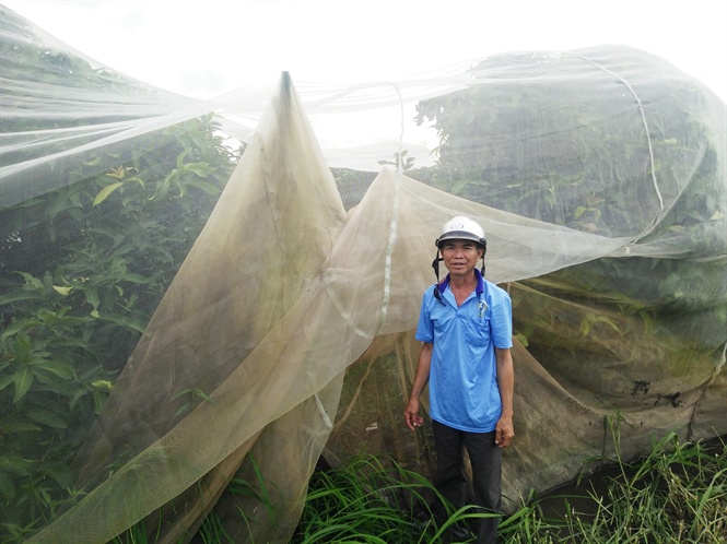 10-59-35_nh_vuon_mn_duoc_bo_phu_trong_mng_luoi_cu_ong_quyen