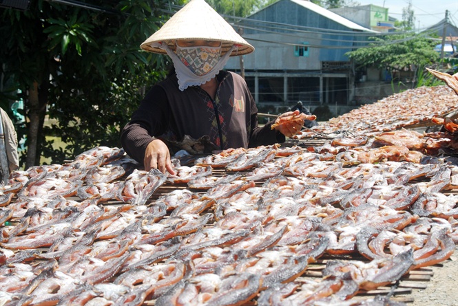 13-15-27_nh_2_-_phoi_kho_phuc_vu_thi_truong_tet