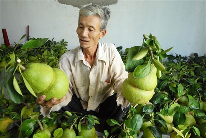 18-13-06_nh-buoi-ho-lo-phuc-vu-tet