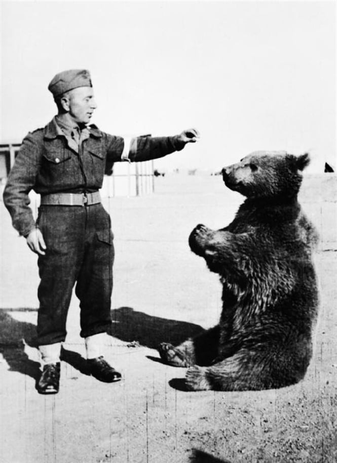 12-08-34_wojtek_the_ber