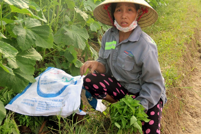 08-51-55_thm_gi_vu_dong_chu_yeu_l_lo_dong_phu