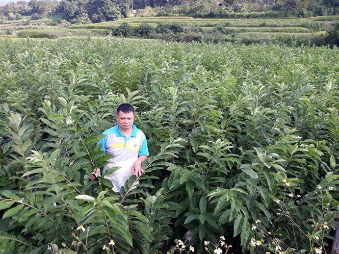 10-38-06_nh_nong_vn_cuong_sn_sng_cung_cp_2_vn_cy_de