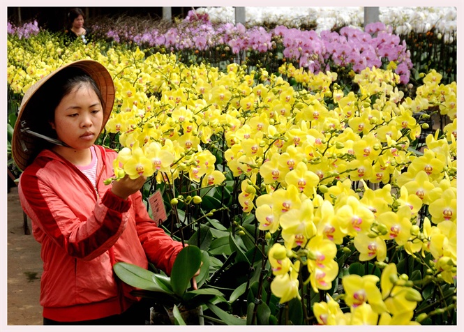 20-30-35_10_sx_ho_o_duc_trong_-_h_huu_net