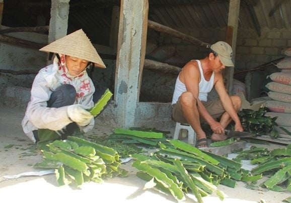 19-19-51_nh_le_hong_diep_xu_ly_cnh_thnh_long_giong