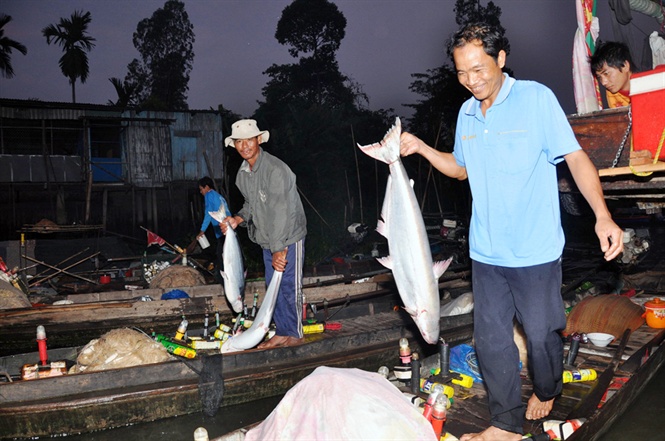 15-50-12_nh_5_-_n_ging_dng_bo_ve_nghiem_ngc_khi_khc_c_tu_nhien